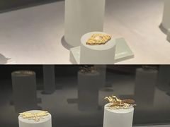-大同市博物馆