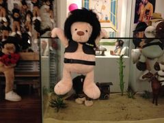 -济州岛泰迪熊博物馆