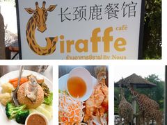 -清迈夜间动物园