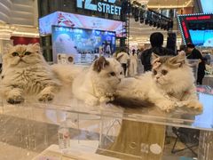 -江南环球港