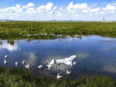 -花湖生态旅游区