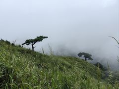 -萍乡武功山风景名胜区