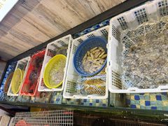 -莲花公园煎蟹(总店)
