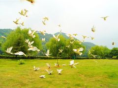 -石燕湖生态旅游景区