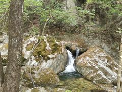 -秦岭风景区