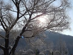 -亚布力新体委滑雪场