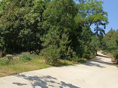 -原山国家森林公园