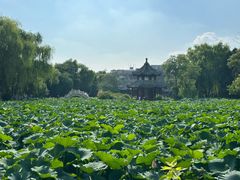 -莲池书院博物馆