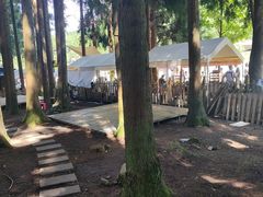 -武陵山森林公园