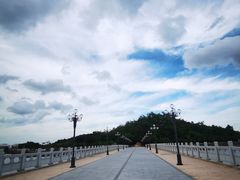 -野狸岛