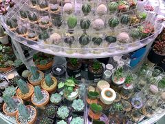 -KKV(深圳kk one 店)