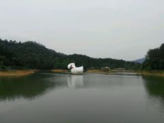 -千岛湖龙川湾