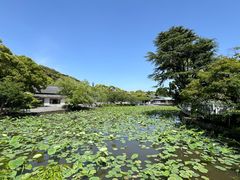-鹤冈八幡宫