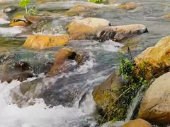 -梅州天地人花园酒店(梅县人民广场店)