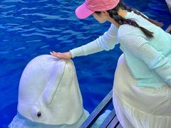 -秦皇岛乐岛海洋王国