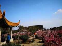 -雨花胜境