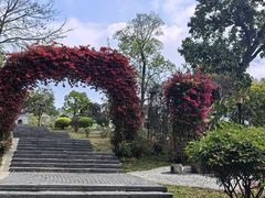 -东莞植物园