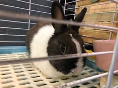 -UltraForce超源健身私教工作室(长楹天街精品店)