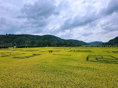 -南泥湾风景区