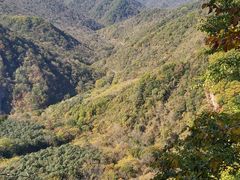 -五女峰国家森林公园