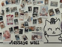 -瑞派·关忠动物医院·猫专科·犬专科(三环新城店)