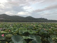 -楼外楼(玉泉店)