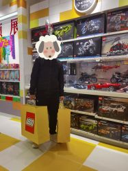 -乐高授权专卖店(中关村领展店)