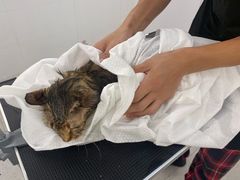 -comecome来吧宠物(奥克斯中心店)