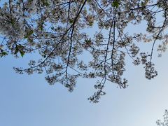 -苏州上方山国家森林公园