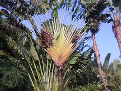 外景-厦门悦华酒店