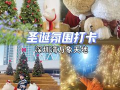 -深圳湾万象城