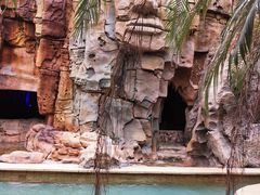 -龙达温泉生态城