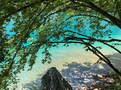 -白鹭湾湿地公园