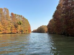 -上海海湾国家森林公园