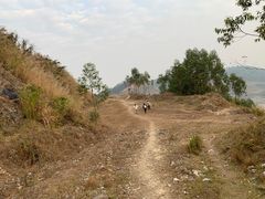 -黄埔油麻山森林公园