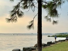 -苏州湾体育公园