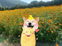 -南沙蒲洲花园