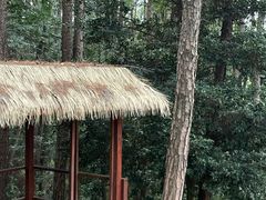 -剑门关风景区
