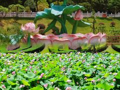 -广州莲花山旅游区