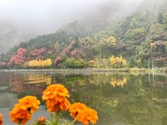 -秦岭终南山世界地质公园翠华山景区