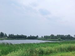 -蒲河岛湿地公园