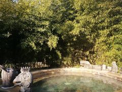 -中家鑫园温泉酒店鑫悦汤泉