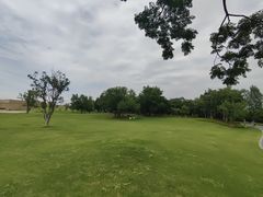 -盘龙城国家考古遗址公园