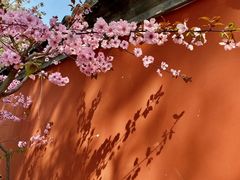 -国家植物园