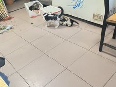 -清真·白家牛肉罩火烧老店(育才街店)
