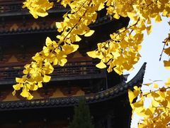 -常熟方塔园