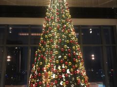 -三迪希尔顿酒店·星空酒廊