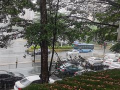 雨天风景-RELLMAN莱尔曼牛扒(长安店)