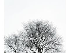 -浙江美术馆