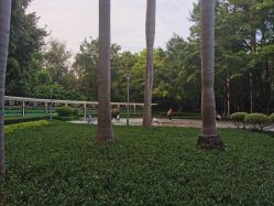 点击看大图 -纷尼探险鸭·亲子户外剧本杀(天河公园店)